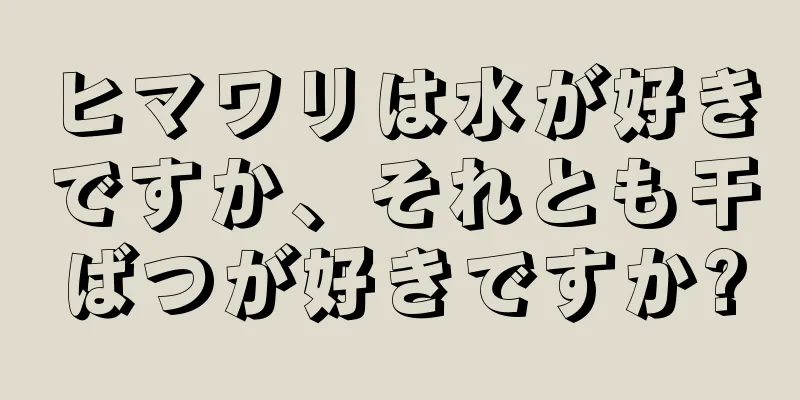 ヒマワリは水が好きですか、それとも干ばつが好きですか?