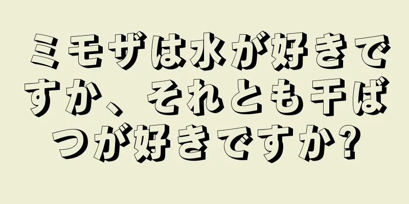 ミモザは水が好きですか、それとも干ばつが好きですか?