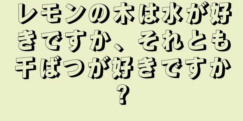 レモンの木は水が好きですか、それとも干ばつが好きですか?