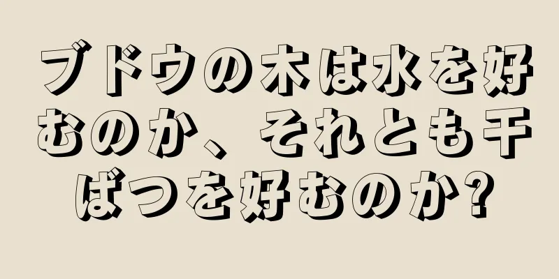 ブドウの木は水を好むのか、それとも干ばつを好むのか?