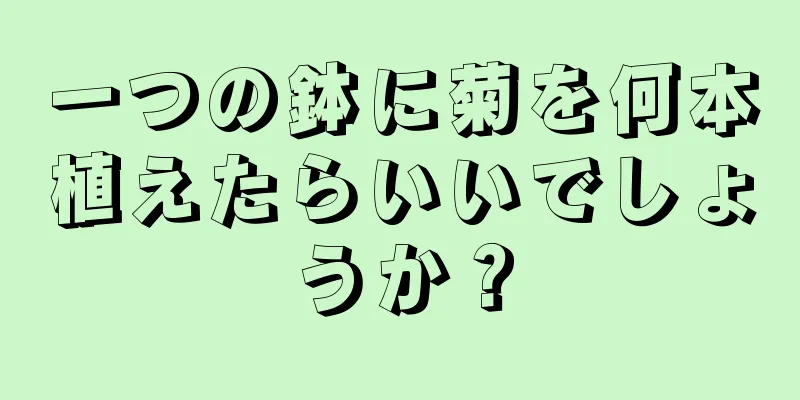 一つの鉢に菊を何本植えたらいいでしょうか？