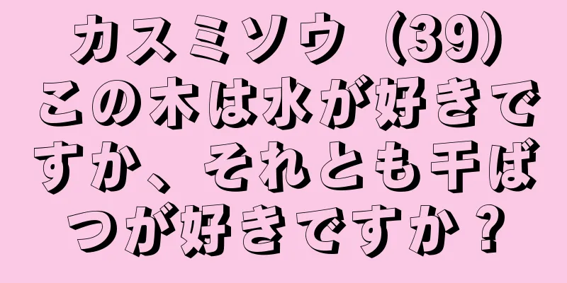 カスミソウ（39）この木は水が好きですか、それとも干ばつが好きですか？