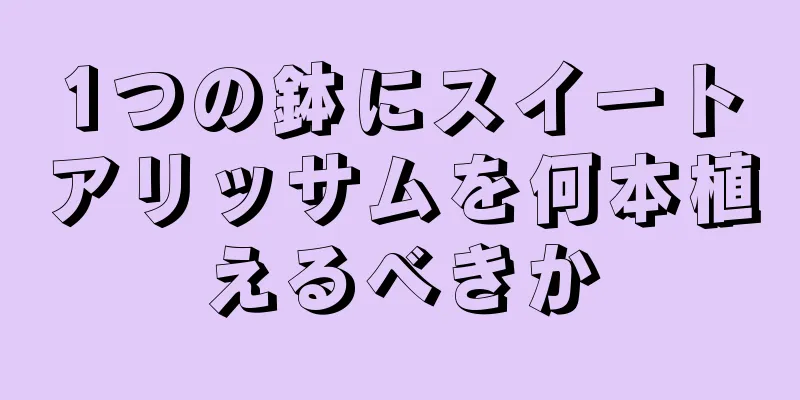 1つの鉢にスイートアリッサムを何本植えるべきか