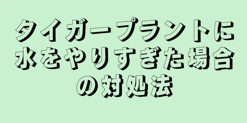 タイガープラントに水をやりすぎた場合の対処法
