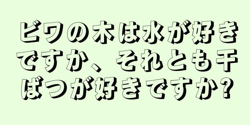 ビワの木は水が好きですか、それとも干ばつが好きですか?