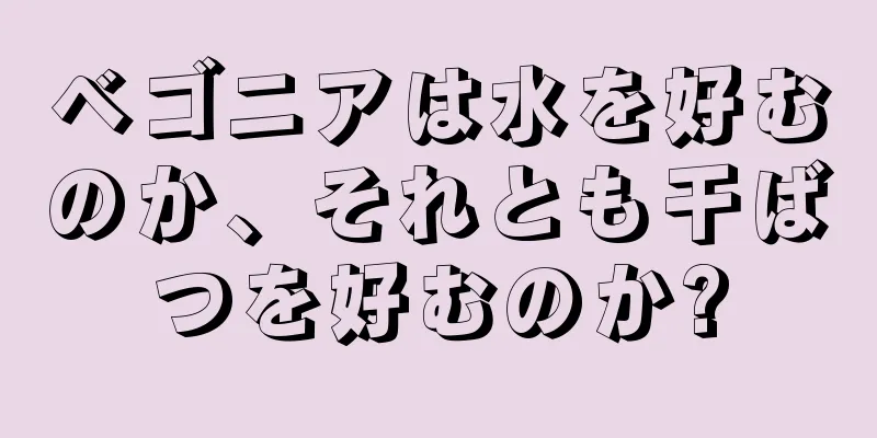 ベゴニアは水を好むのか、それとも干ばつを好むのか?