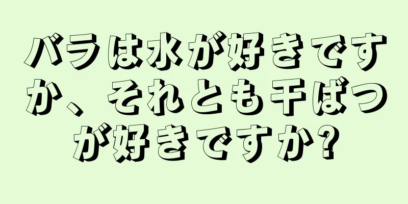 バラは水が好きですか、それとも干ばつが好きですか?