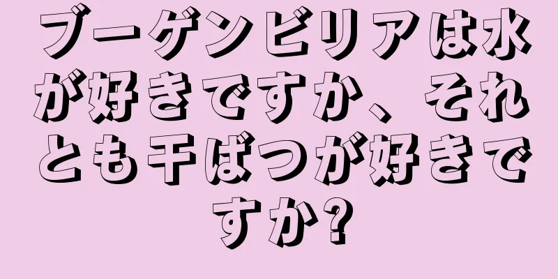 ブーゲンビリアは水が好きですか、それとも干ばつが好きですか?