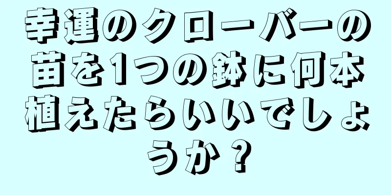 幸運のクローバーの苗を1つの鉢に何本植えたらいいでしょうか？