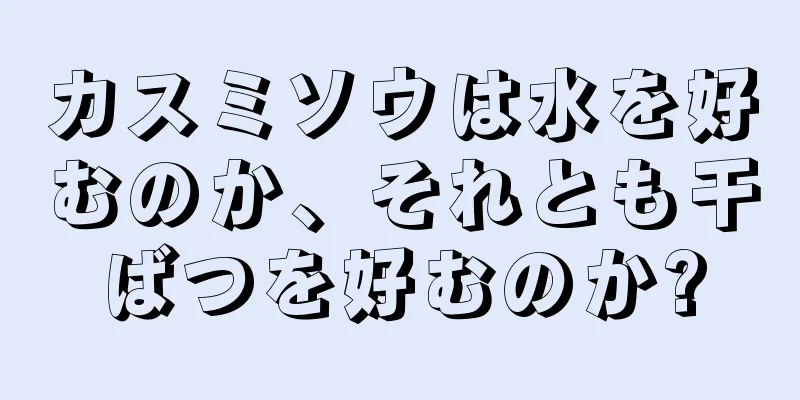 カスミソウは水を好むのか、それとも干ばつを好むのか?