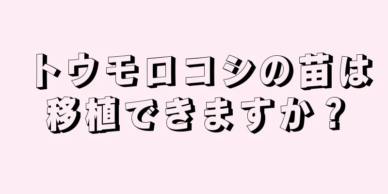 トウモロコシの苗は移植できますか？