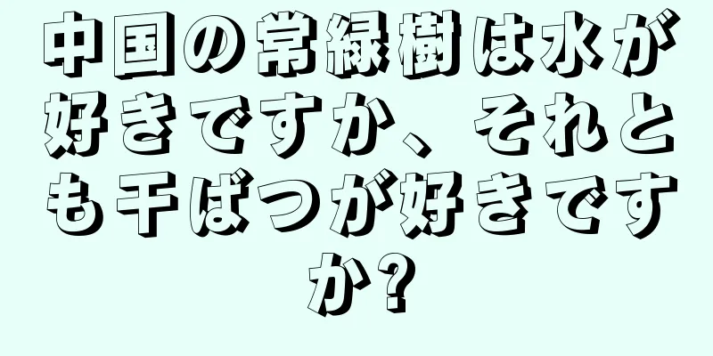 中国の常緑樹は水が好きですか、それとも干ばつが好きですか?