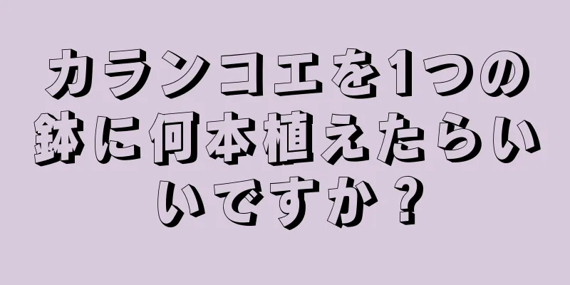 カランコエを1つの鉢に何本植えたらいいですか？