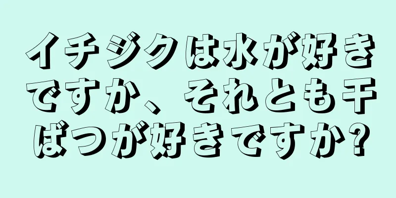 イチジクは水が好きですか、それとも干ばつが好きですか?
