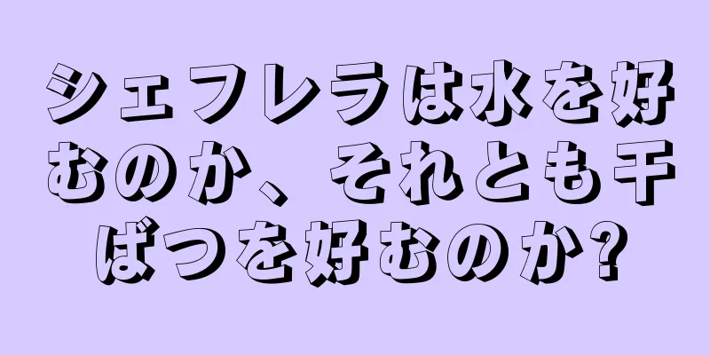シェフレラは水を好むのか、それとも干ばつを好むのか?