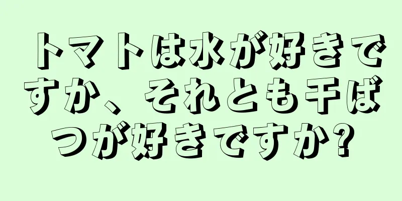 トマトは水が好きですか、それとも干ばつが好きですか?