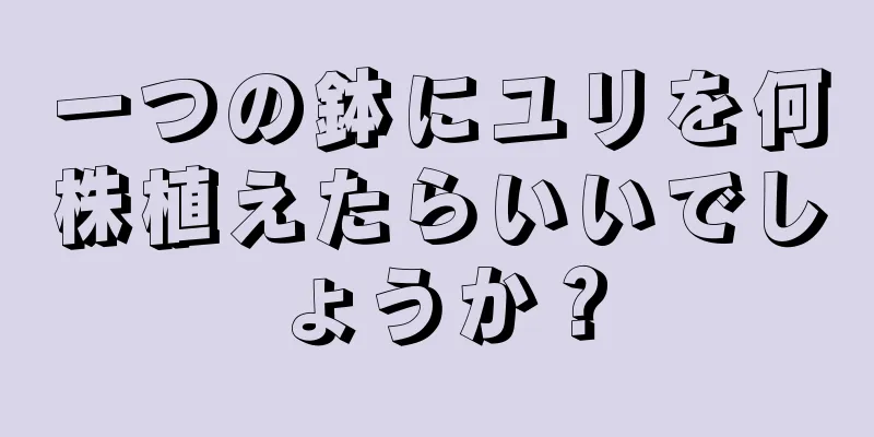 一つの鉢にユリを何株植えたらいいでしょうか？