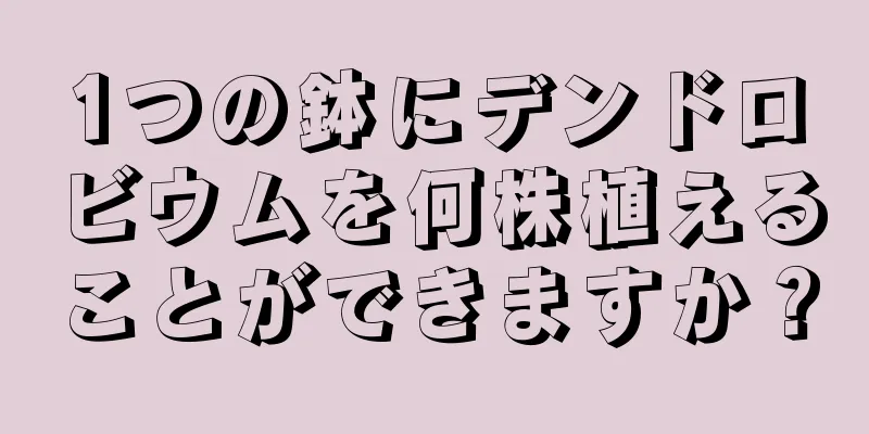 1つの鉢にデンドロビウムを何株植えることができますか？