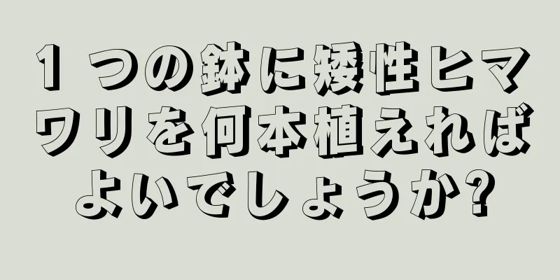 1 つの鉢に矮性ヒマワリを何本植えればよいでしょうか?