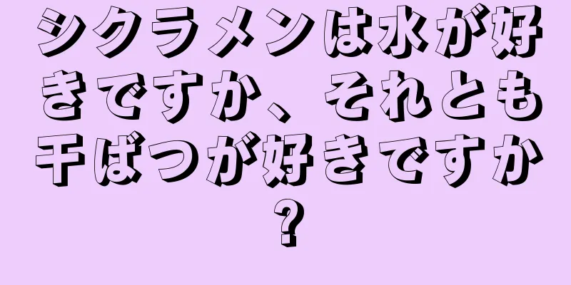 シクラメンは水が好きですか、それとも干ばつが好きですか?