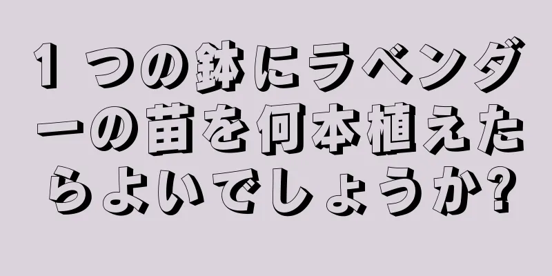 1 つの鉢にラベンダーの苗を何本植えたらよいでしょうか?