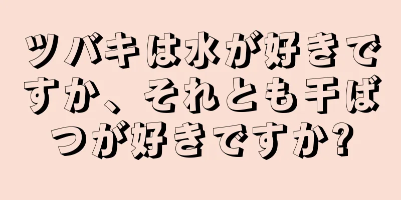 ツバキは水が好きですか、それとも干ばつが好きですか?
