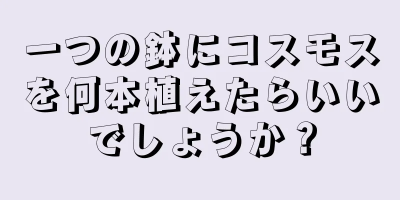 一つの鉢にコスモスを何本植えたらいいでしょうか？