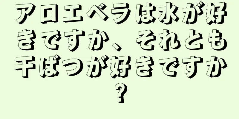 アロエベラは水が好きですか、それとも干ばつが好きですか?
