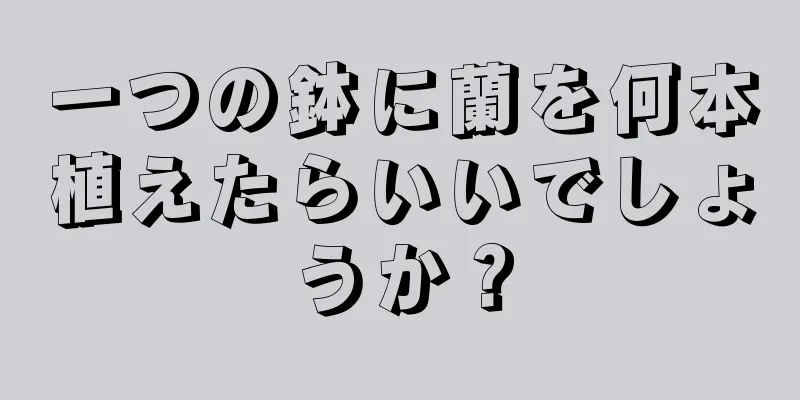 一つの鉢に蘭を何本植えたらいいでしょうか？