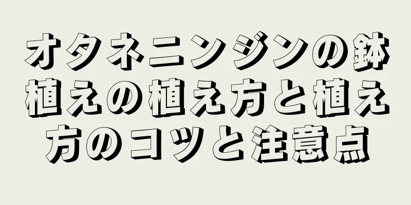 オタネニンジンの鉢植えの植え方と植え方のコツと注意点