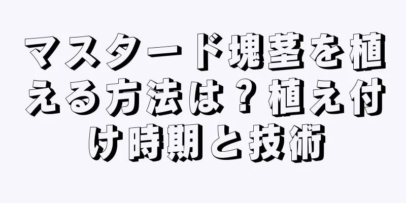 マスタード塊茎を植える方法は？植え付け時期と技術