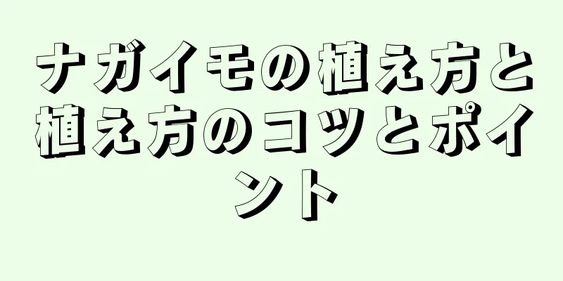 ナガイモの植え方と植え方のコツとポイント