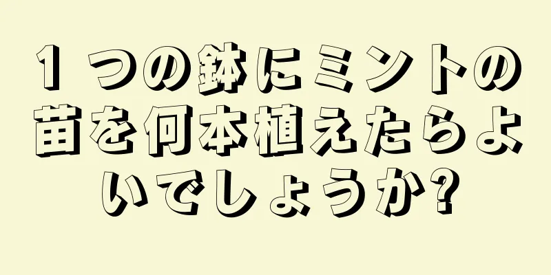 1 つの鉢にミントの苗を何本植えたらよいでしょうか?