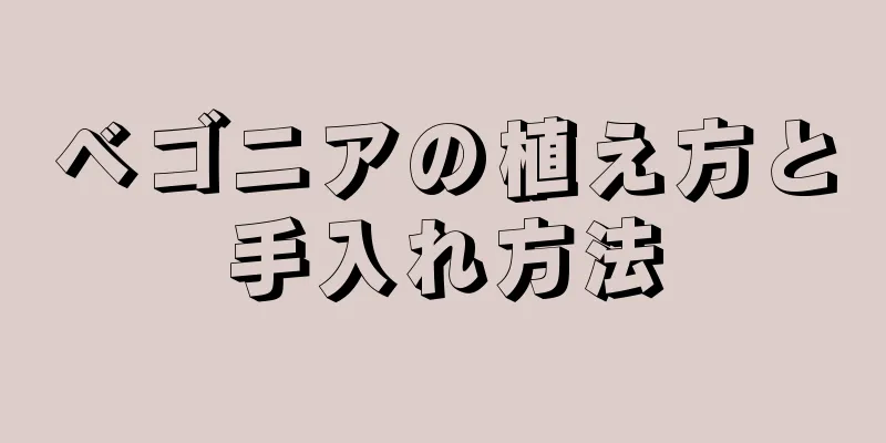 ベゴニアの植え方と手入れ方法