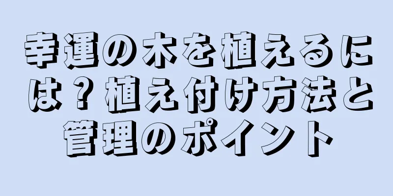 幸運の木を植えるには？植え付け方法と管理のポイント