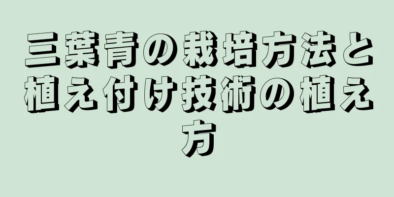 三葉青の栽培方法と植え付け技術の植え方