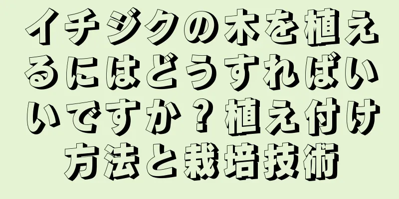 イチジクの木を植えるにはどうすればいいですか？植え付け方法と栽培技術