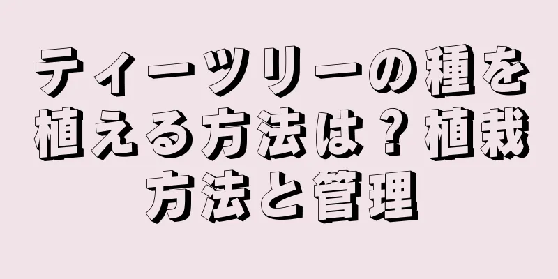 ティーツリーの種を植える方法は？植栽方法と管理