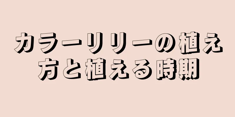 カラーリリーの植え方と植える時期