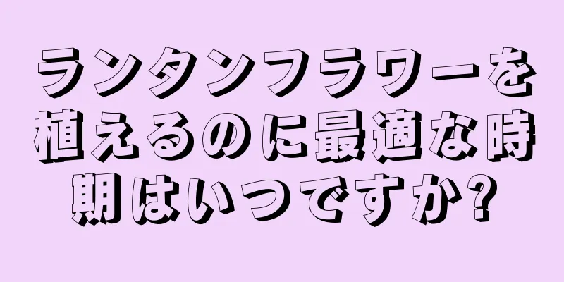 ランタンフラワーを植えるのに最適な時期はいつですか?