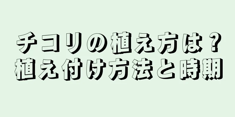 チコリの植え方は？植え付け方法と時期
