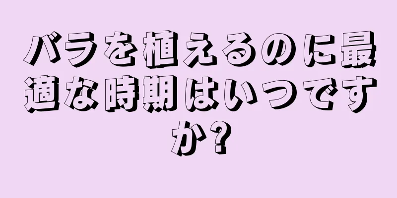 バラを植えるのに最適な時期はいつですか?