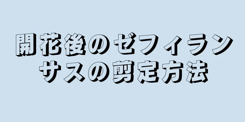 開花後のゼフィランサスの剪定方法