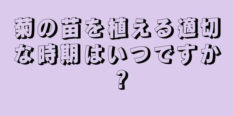 菊の苗を植える適切な時期はいつですか？