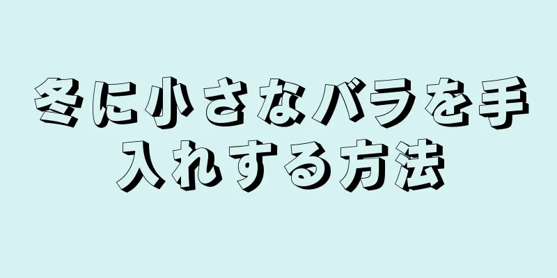 冬に小さなバラを手入れする方法