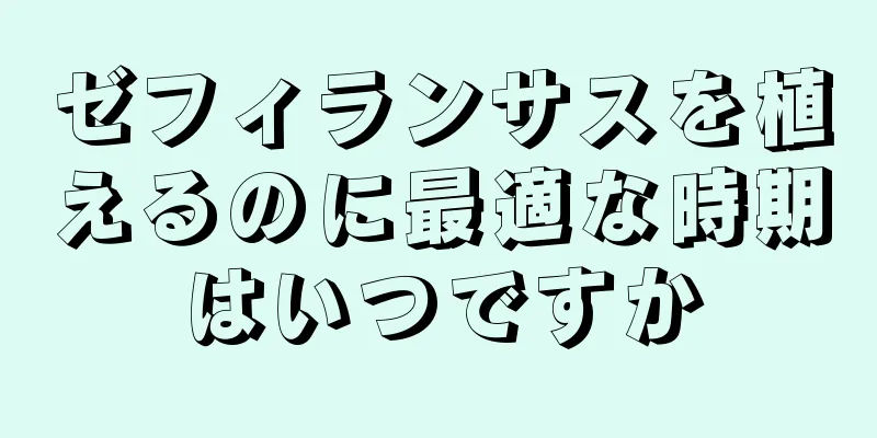 ゼフィランサスを植えるのに最適な時期はいつですか
