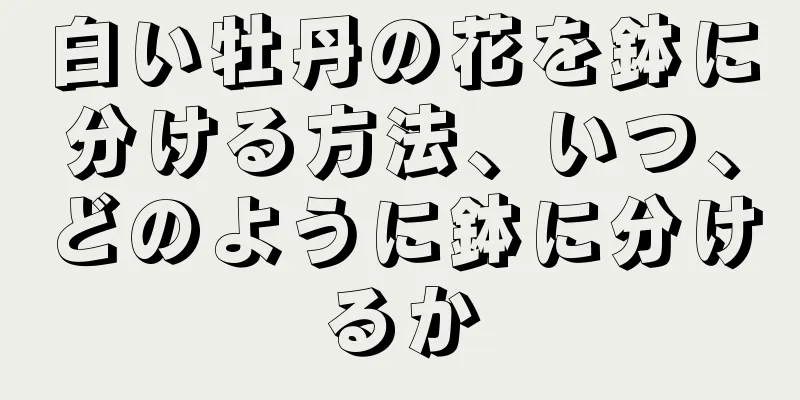 白い牡丹の花を鉢に分ける方法、いつ、どのように鉢に分けるか