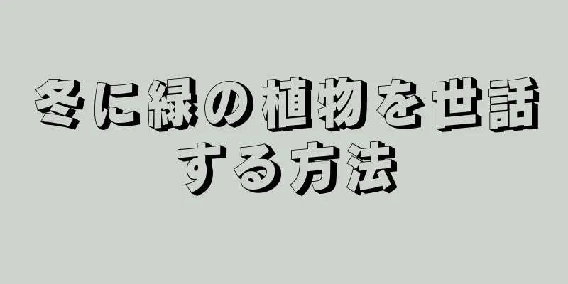 冬に緑の植物を世話する方法