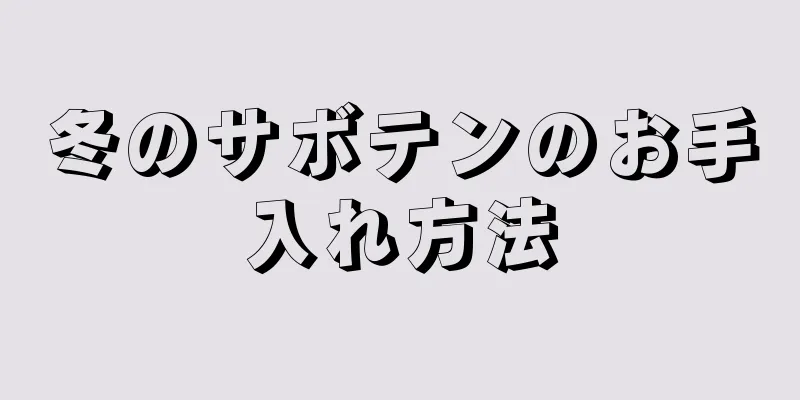 冬のサボテンのお手入れ方法