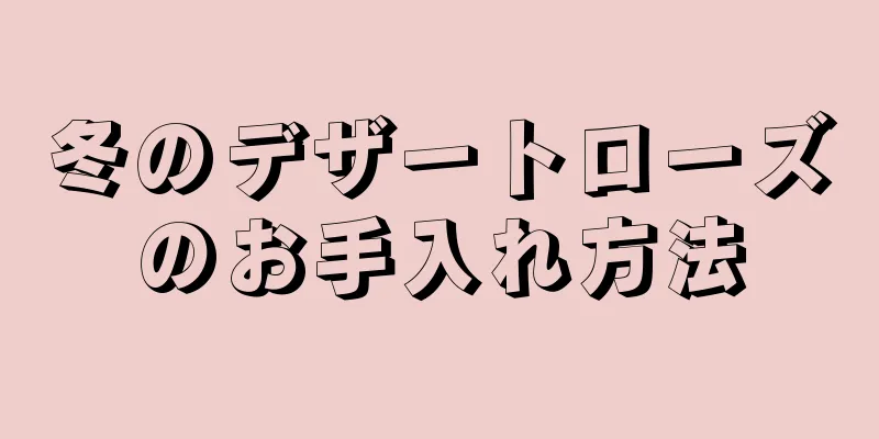 冬のデザートローズのお手入れ方法